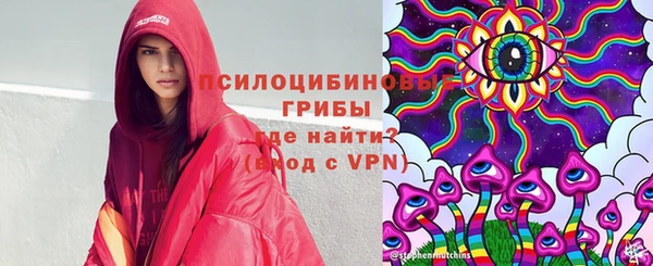 а пвп мука Инта