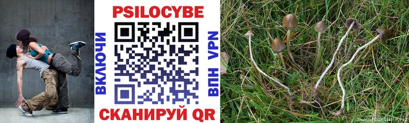 Купить где  Заринск  Псилоцибиновые грибы ЛСД 